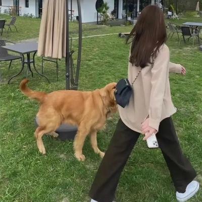 超硬伴娘